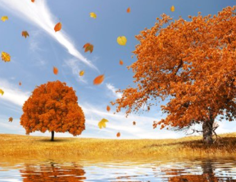 应对风险挑战的根本政治保证——把握有利条件，激发信心动力①｜人民观点